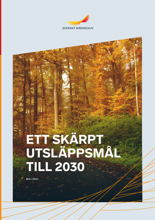Omslagsbild - Rapport