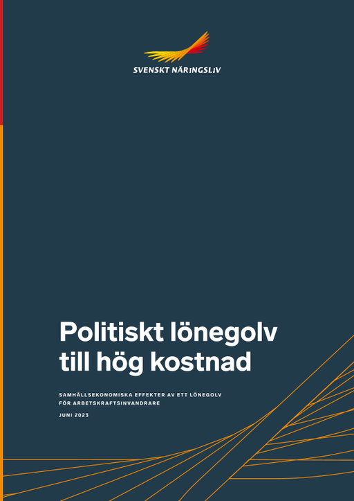Omslagsbild - Rapport