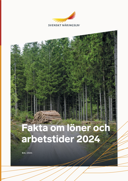 Omslagsbild - Rapport