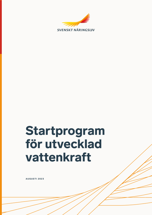 Omslagsbild - Rapport