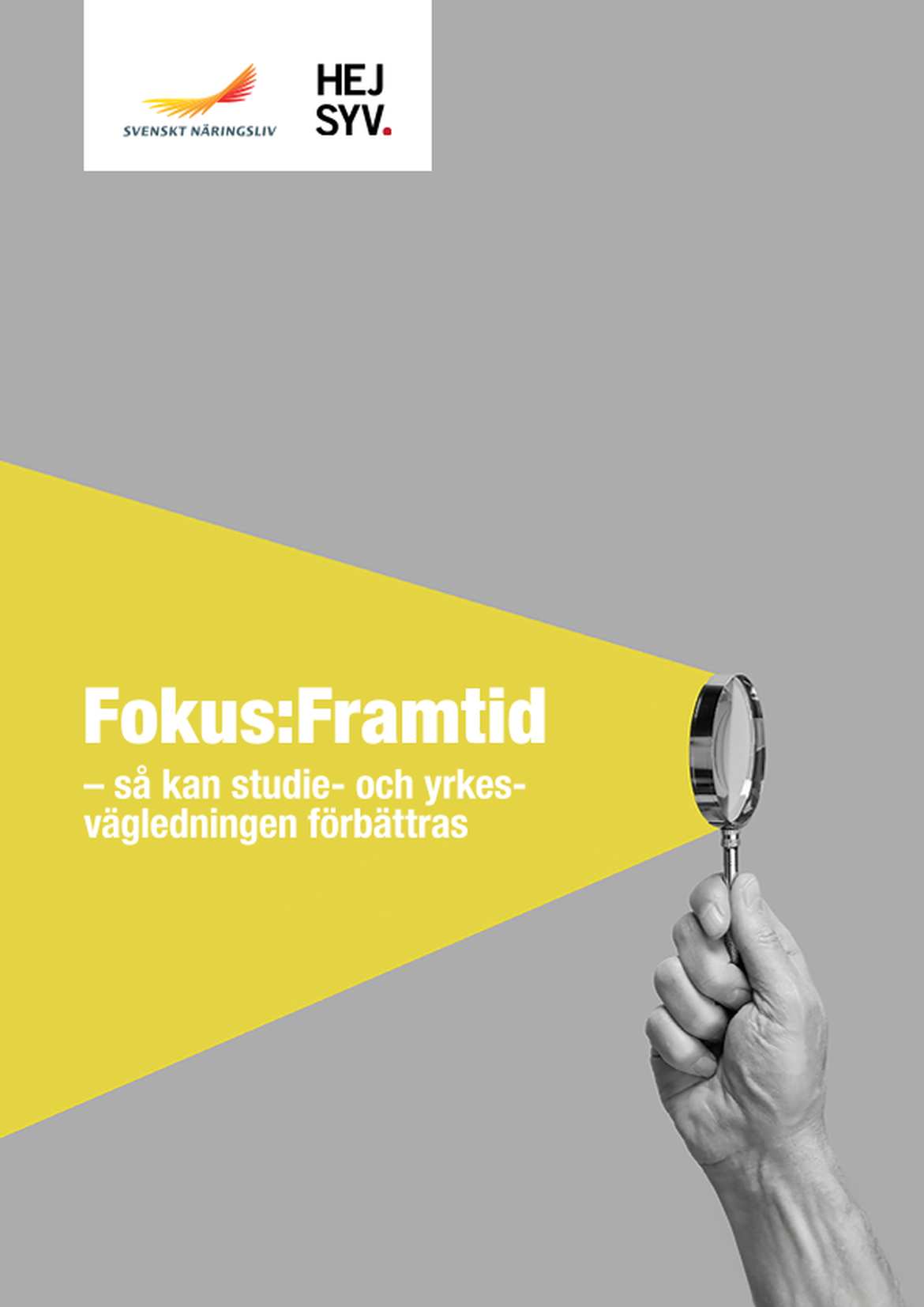 Fokus:Framtid - så kan studie- och yrkesvägledningen förbättras