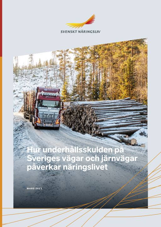 Omslagsbild - Rapport