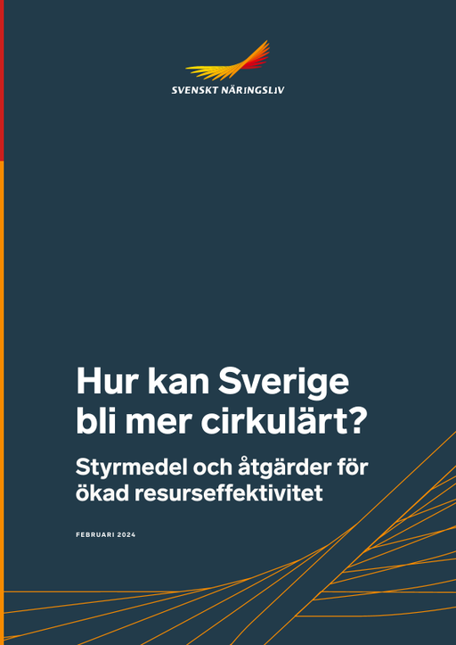 Omslagsbild - Rapport
