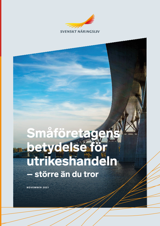 Omslagsbild - Rapport