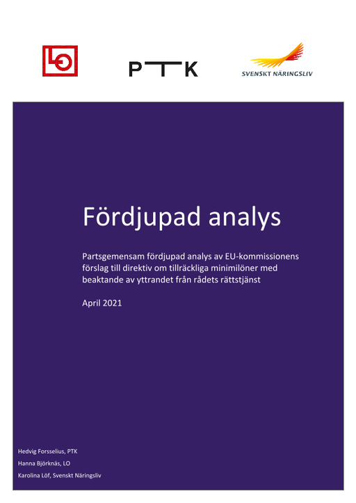 Omslagsbild - Rapport