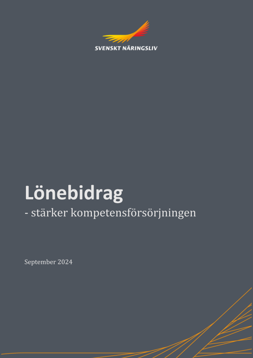 Omslagsbild - Rapport