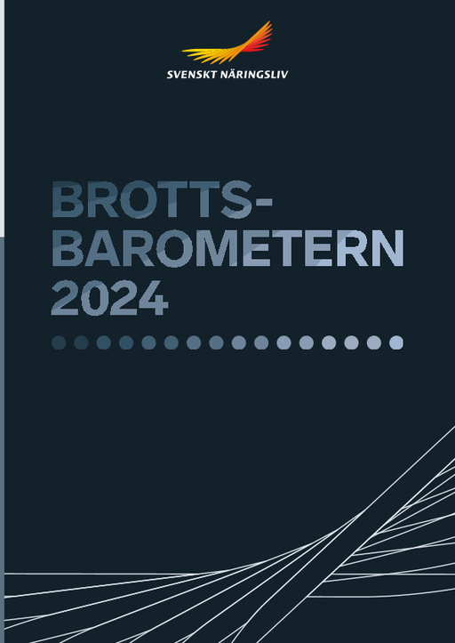 Omslagsbild - Rapport