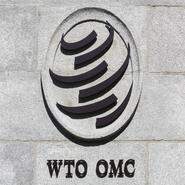 The Importance of Extending the WTO Moratorium on Customs Duties on Electronic Transmissions