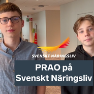 Erik och Benjamin gjorde PRAO på Svenskt Näringsliv