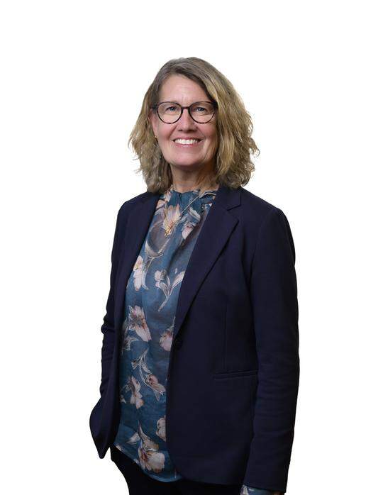 Marie Pilfalk, SME-ledamot