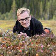 Nytt lagförslag kan tvinga bärplockarföretaget i konkurs