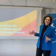 ”Framgångsrika företag är lösningen”