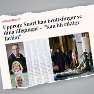 Småländska företagare varnar för riskerna med ett förmögenhetsregister