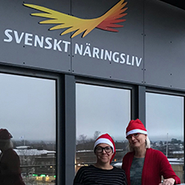 God jul och gott nytt år!