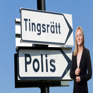 Gör brott mot företag till en del av den svenska kriminalpolitiken