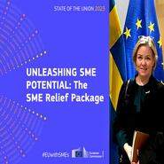 EU-kommissionens småföretagarpaket lämnar mycket att önska