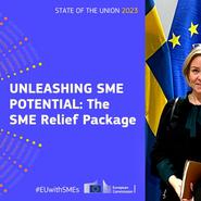 EU-kommissionens småföretagarpaket lämnar mycket att önska